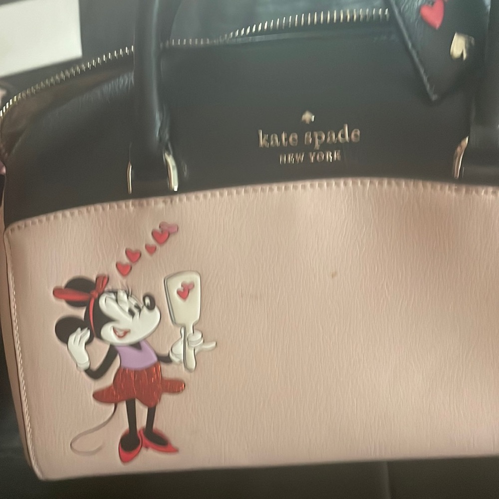 Beautiful Disney Kate spade , I will try and clean spots before I send.used 2